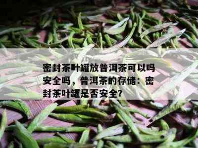 密封茶叶罐放普洱茶可以吗安全吗，普洱茶的存储：密封茶叶罐是否安全？