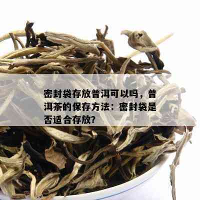 密封袋存放普洱可以吗，普洱茶的保存方法：密封袋是否适合存放？