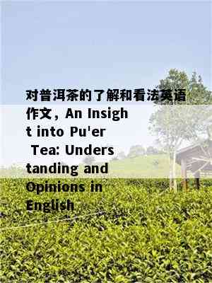 对普洱茶的了解和看法英语作文，An Insight into Pu'er Tea: Understanding and Opinions in English