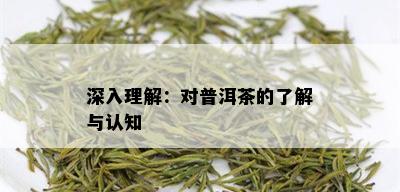 深入理解：对普洱茶的了解与认知