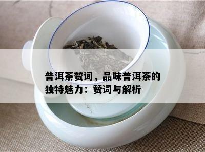 普洱茶赞词，品味普洱茶的独特魅力：赞词与解析