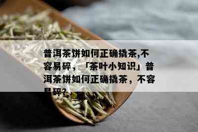 普洱茶饼如何正确撬茶,不容易碎，「茶叶小知识」普洱茶饼如何正确撬茶，不容易碎？