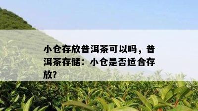 小仓存放普洱茶可以吗，普洱茶存储：小仓是否适合存放？