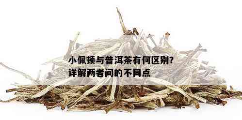 小佩顿与普洱茶有何区别？详解两者间的不同点