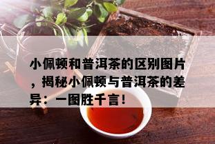 小佩顿和普洱茶的区别图片，揭秘小佩顿与普洱茶的差异：一图胜千言！