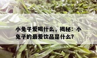 小兔子爱喝什么，揭秘：小兔子的更爱饮品是什么？