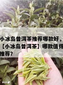 小冰岛普洱茶推荐哪款好，【小冰岛普洱茶】哪款值得推荐？