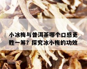 小冰梅与普洱茶哪个口感更胜一筹？探究冰小梅的功效