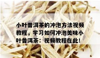 小叶普洱茶的冲泡方法视频教程，学习如何冲泡美味小叶普洱茶：视频教程在此！