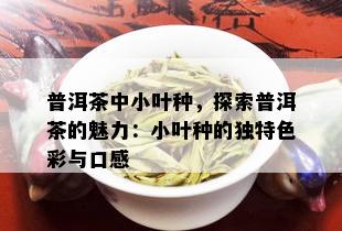 普洱茶中小叶种，探索普洱茶的魅力：小叶种的独特色彩与口感