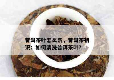 普洱茶叶怎么洗，普洱茶初识：如何清洗普洱茶叶？