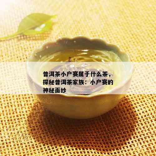 普洱茶小户赛属于什么茶，探秘普洱茶家族：小户赛的神秘面纱