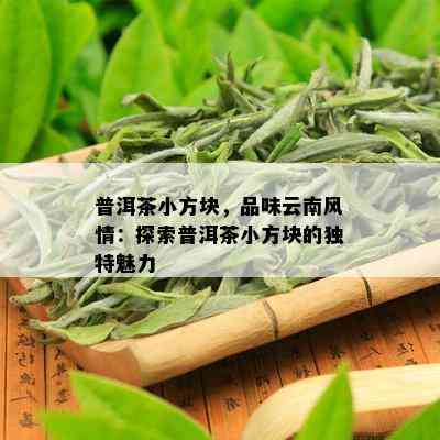 普洱茶小方块，品味云南风情：探索普洱茶小方块的独特魅力