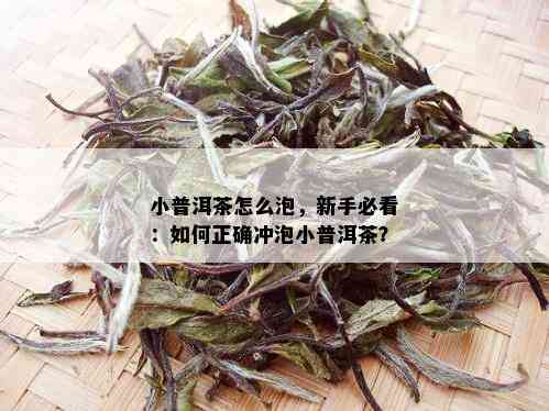 小普洱茶怎么泡，新手必看：如何正确冲泡小普洱茶？