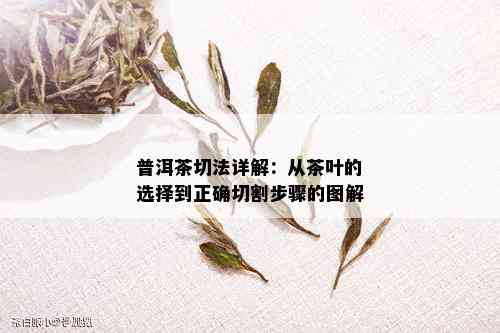 普洱茶切法详解：从茶叶的选择到正确切割步骤的图解