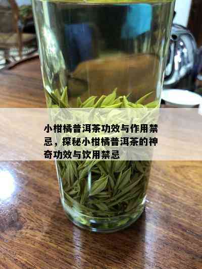 小柑橘普洱茶功效与作用禁忌，探秘小柑橘普洱茶的神奇功效与饮用禁忌