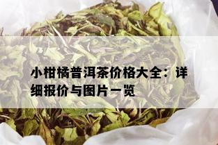 小柑橘普洱茶价格大全：详细报价与图片一览