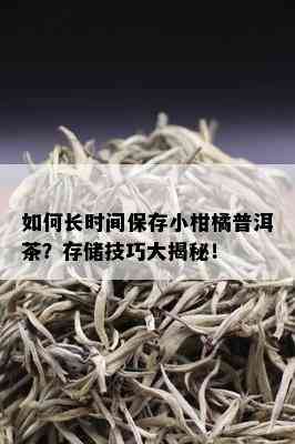 如何长时间保存小柑橘普洱茶？存储技巧大揭秘！