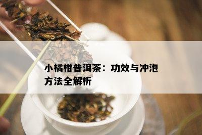 小橘柑普洱茶：功效与冲泡方法全解析