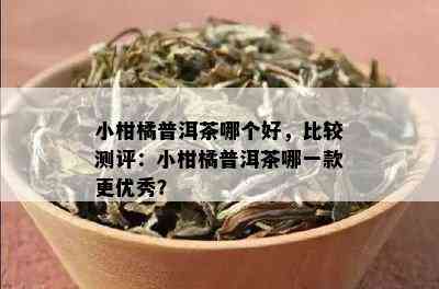 小柑橘普洱茶哪个好，比较测评：小柑橘普洱茶哪一款更优秀？