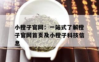 小橙子官网：一站式了解橙子官网首页及小橙子科技信息