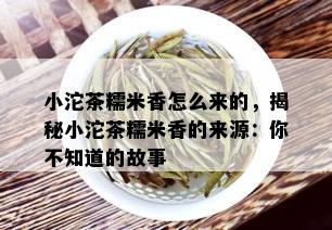 小沱茶糯米香怎么来的，揭秘小沱茶糯米香的来源：你不知道的故事