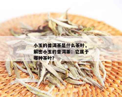 小玉的普洱茶是什么茶叶，解密小玉的普洱茶：它属于哪种茶叶？