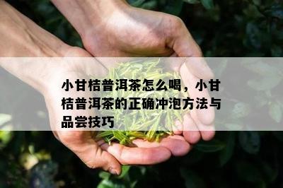 小甘桔普洱茶怎么喝，小甘桔普洱茶的正确冲泡方法与品尝技巧