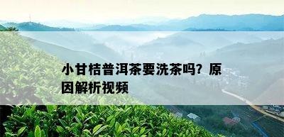 小甘桔普洱茶要洗茶吗？原因解析视频