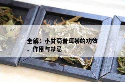 全解：小甘菊普洱茶的功效、作用与禁忌