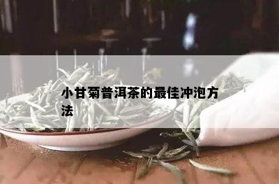 小甘菊普洱茶的更佳冲泡方法