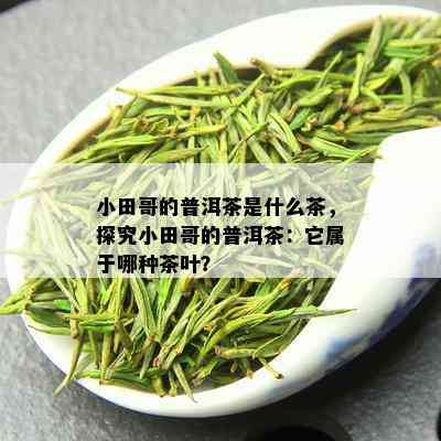 小田哥的普洱茶是什么茶，探究小田哥的普洱茶：它属于哪种茶叶？