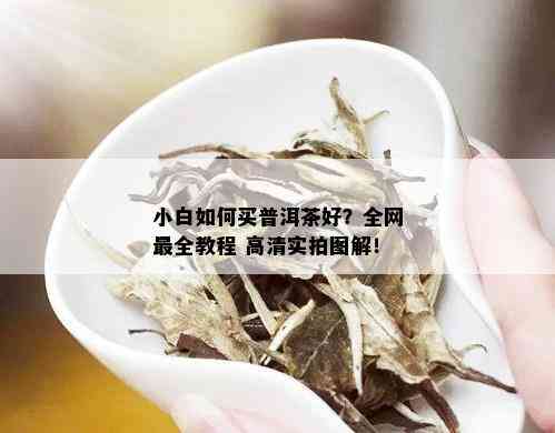 小白如何买普洱茶好？全网最全教程 高清实拍图解！