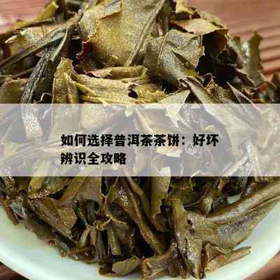 如何选择普洱茶茶饼：好坏辨识全攻略