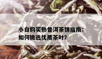 小白购买熟普洱茶饼指南：如何挑选优质茶叶？