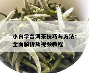 小白学普洱茶技巧与方法：全面解析及视频教程