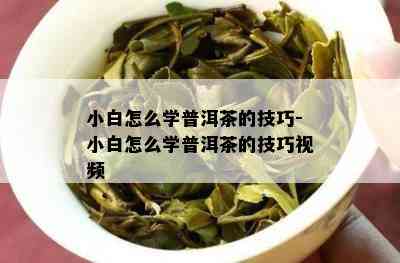 小白怎么学普洱茶的技巧-小白怎么学普洱茶的技巧视频