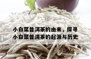 小白菜普洱茶的由来，探寻小白菜普洱茶的起源与历史