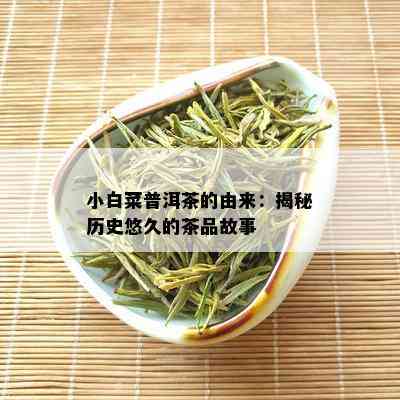 小白菜普洱茶的由来：揭秘历史悠久的茶品故事