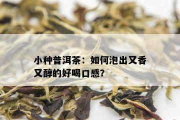 小种普洱茶：如何泡出又香又醇的好喝口感？