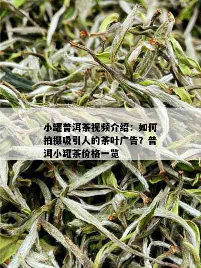 小罐普洱茶视频介绍：如何拍摄吸引人的茶叶广告？普洱小罐茶价格一览