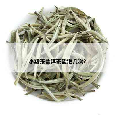 小罐茶普洱茶能泡几次？