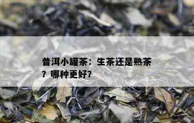 普洱小罐茶：生茶还是熟茶？哪种更好？