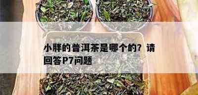 小胖的普洱茶是哪个的？请回答P7问题