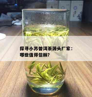 探寻小苏普洱茶源头厂家：哪些值得信赖？