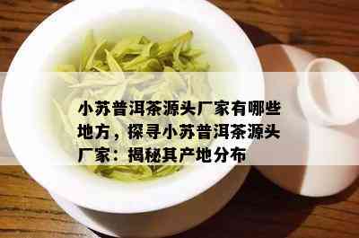 小苏普洱茶源头厂家有哪些地方，探寻小苏普洱茶源头厂家：揭秘其产地分布