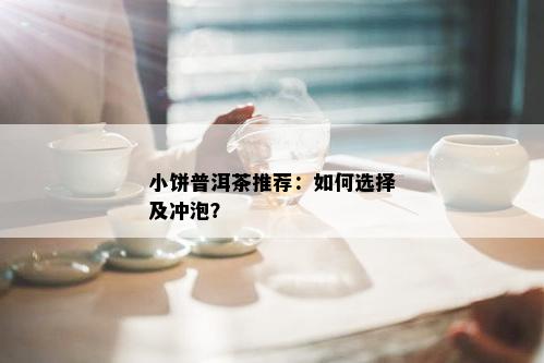 小饼普洱茶推荐：如何选择及冲泡？