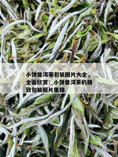 小饼普洱茶包装图片大全，全面欣赏：小饼普洱茶的精致包装图片集锦