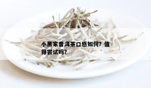 小黑家普洱茶口感如何？值得尝试吗？