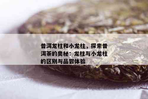 普洱龙柱和小龙柱，探索普洱茶的奥秘：龙柱与小龙柱的区别与品尝体验